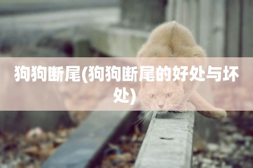 狗狗斷尾(狗狗斷尾的好處與壞處) 