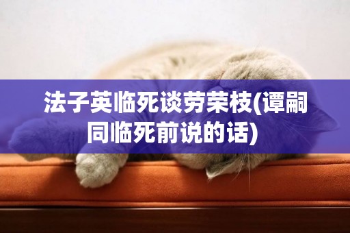 法子英臨死談勞榮枝(譚嗣同臨死前說的話) 