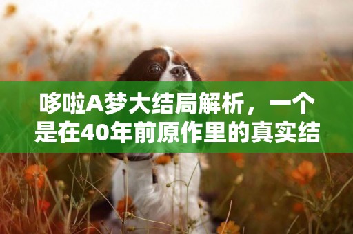 哆啦A夢大結局解析，一個是在40年前原作里的真實結局 