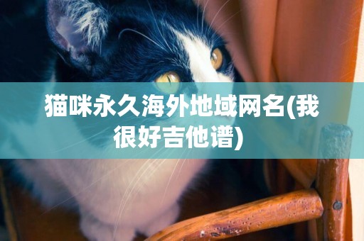 貓咪永久海外地域網名(我很好吉他譜) 