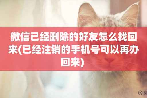 微信已經刪除的好友怎么找回來(已經注銷的手機號可以再辦回來) 