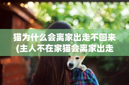 貓為什么會離家出走不回來(主人不在家貓會離家出走嗎) 