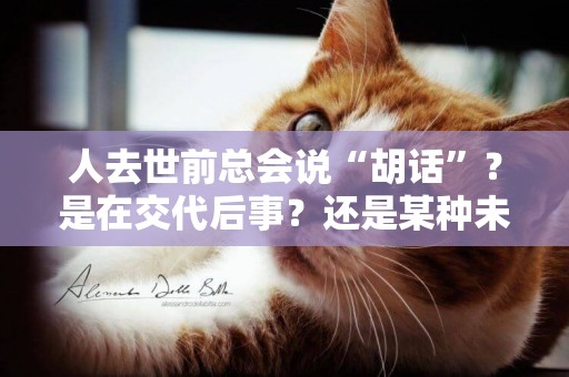 人去世前總會說“胡話”？是在交代后事？還是某種未知的預示 