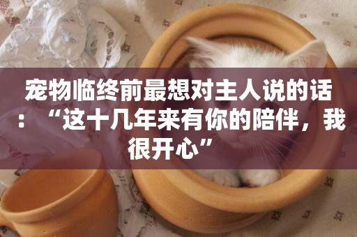 寵物臨終前最想對主人說的話：“這十幾年來有你的陪伴，我很開心” 