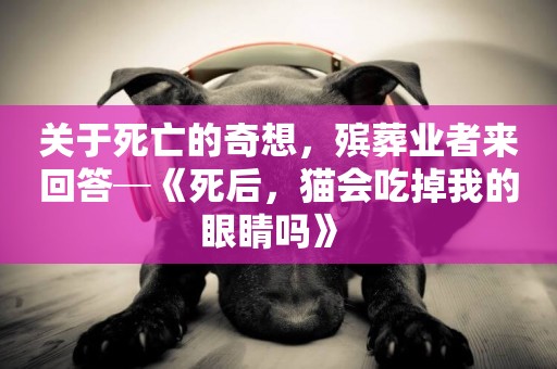 關于死亡的奇想，殯葬業者來回答─《死后，貓會吃掉我的眼睛嗎》 