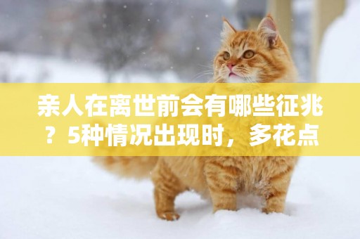 親人在離世前會有哪些征兆？5種情況出現時，多花點時間陪伴吧 