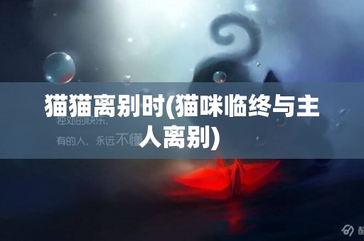 貓貓離別時(貓咪臨終與主人離別) 