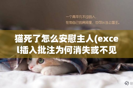 貓死了怎么安慰主人(excel插入批注為何消失或不見) 