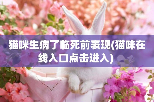 貓咪生病了臨死前表現(貓咪在線入口點擊進入) 