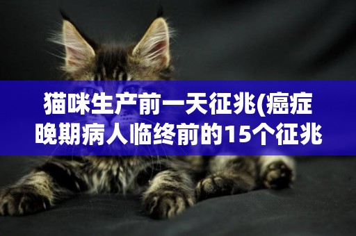 貓咪生產前一天征兆(癌癥晚期病人臨終前的15個征兆) 