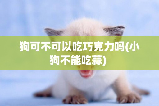狗可不可以吃巧克力嗎(小狗不能吃蒜) 