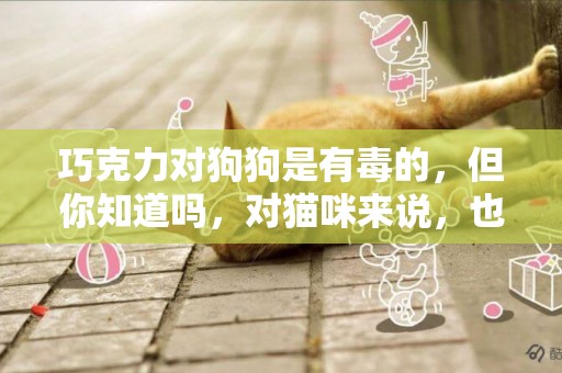 巧克力對狗狗是有毒的，但你知道嗎，對貓咪來說，也同樣有害 