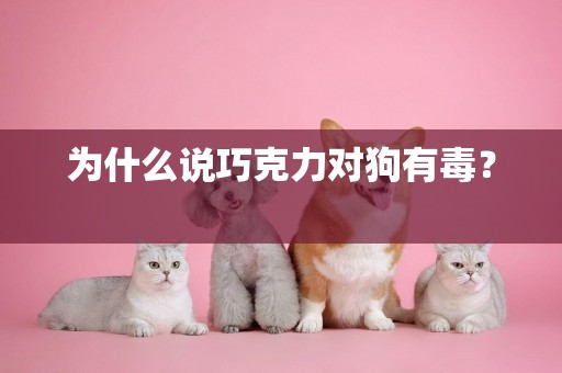 為什么說巧克力對狗有毒？ 