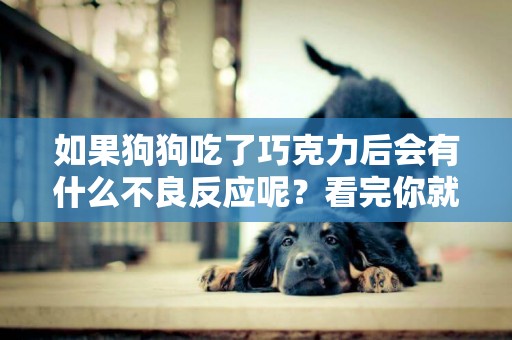 如果狗狗吃了巧克力后會有什么不良反應呢？看完你就知道了 