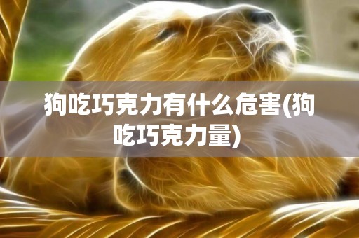 狗吃巧克力有什么危害(狗吃巧克力量) 