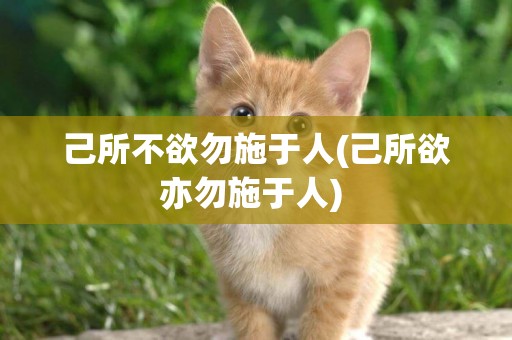 己所不欲勿施于人(己所欲亦勿施于人) 