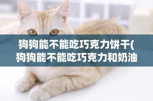 狗狗能不能吃巧克力餅干(狗狗能不能吃巧克力和奶油) 