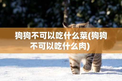 狗狗不可以吃什么菜(狗狗不可以吃什么肉) 