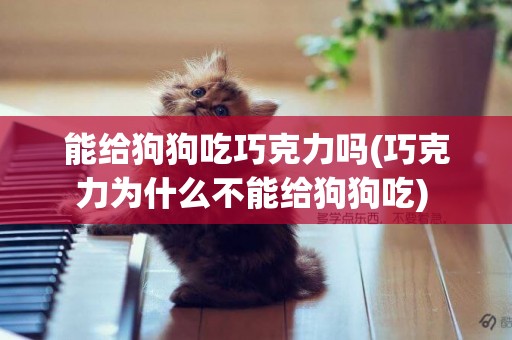 能給狗狗吃巧克力嗎(巧克力為什么不能給狗狗吃) 
