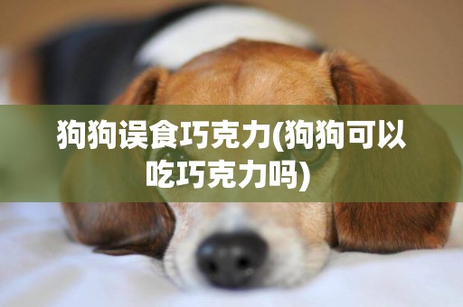 狗狗誤食巧克力(狗狗可以吃巧克力嗎) 