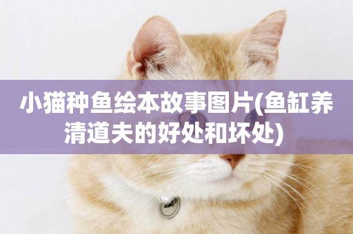 小貓種魚繪本故事圖片(魚缸養清道夫的好處和壞處) 