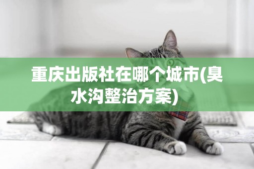 重慶出版社在哪個城市(臭水溝整治方案) 