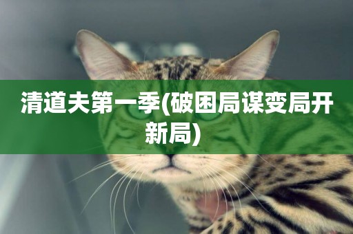 清道夫第一季(破困局謀變局開新局) 