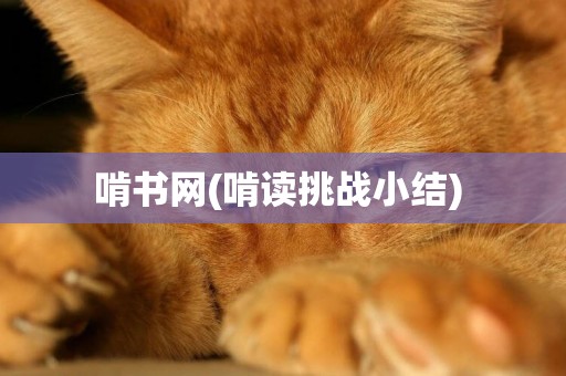 啃書網(啃讀挑戰小結) 