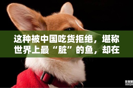 這種被中國吃貨拒絕，堪稱世界上最“臟”的魚，卻在印度火了 