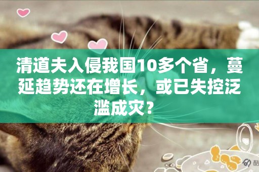 清道夫入侵我國10多個省，蔓延趨勢還在增長，或已失控泛濫成災？ 