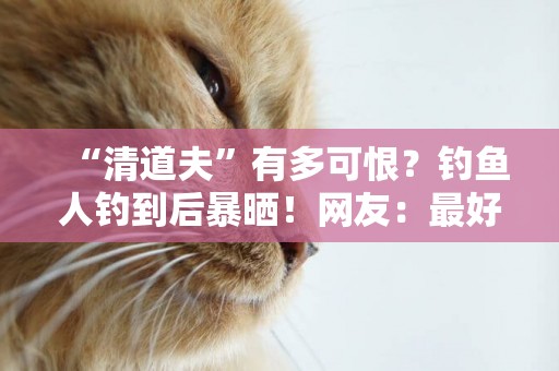 “清道夫”有多可恨？釣魚人釣到后暴曬！網友：最好“活埋”了 