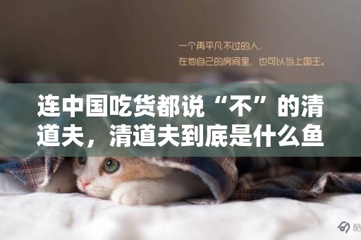 連中國吃貨都說“不”的清道夫，清道夫到底是什么魚？ 
