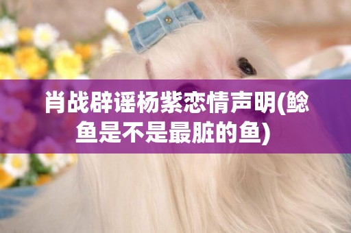 肖戰辟謠楊紫戀情聲明(鯰魚是不是最臟的魚) 