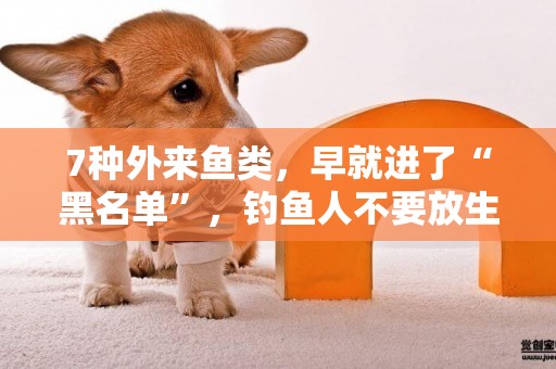 7種外來魚類，早就進了“黑名單”，釣魚人不要放生 
