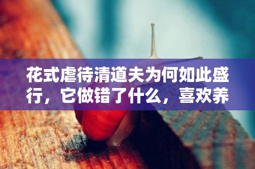 花式虐待清道夫為何如此盛行，它做錯了什么，喜歡養魚的你怎么看 