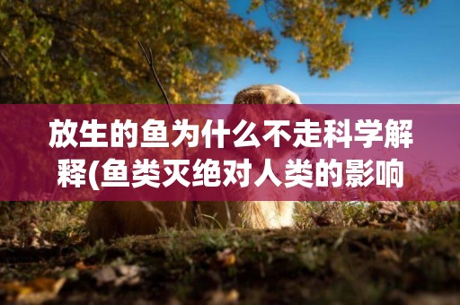 放生的魚為什么不走科學解釋(魚類滅絕對人類的影響) 