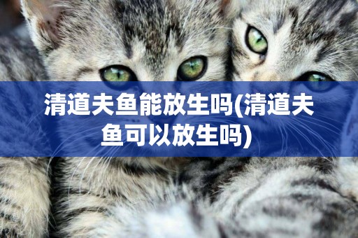 清道夫魚能放生嗎(清道夫魚可以放生嗎) 