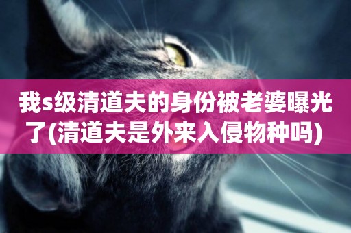 我s級清道夫的身份被老婆曝光了(清道夫是外來入侵物種嗎) 
