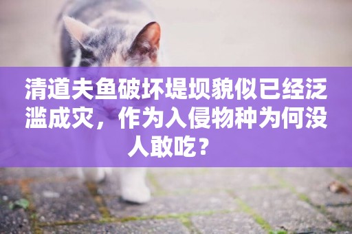 清道夫魚破壞堤壩貌似已經泛濫成災，作為入侵物種為何沒人敢吃？ 