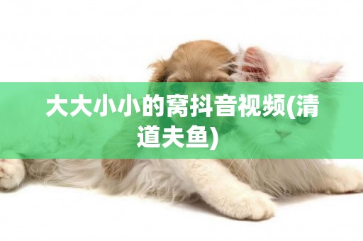 大大小小的窩抖音視頻(清道夫魚) 