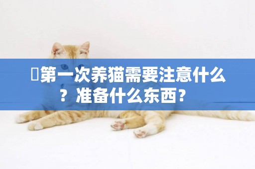 ?第一次養貓需要注意什么？準備什么東西？ 
