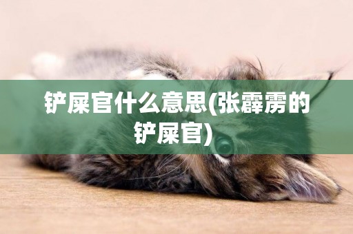 鏟屎官什么意思(張霹靂的鏟屎官) 
