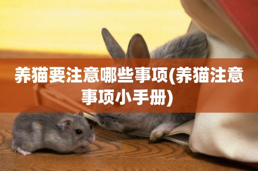 養貓要注意哪些事項(養貓注意事項小手冊) 
