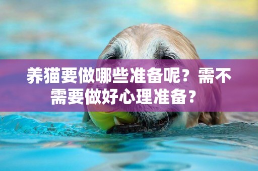 養貓要做哪些準備呢？需不需要做好心理準備？ 