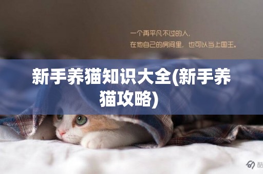 新手養貓知識大全(新手養貓攻略) 