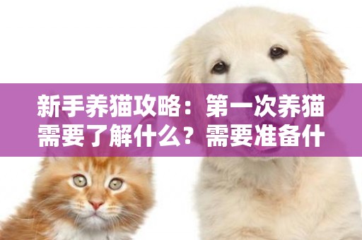 新手養貓攻略：第一次養貓需要了解什么？需要準備什么？ 
