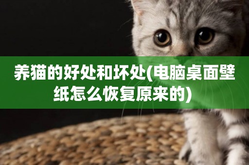 養貓的好處和壞處(電腦桌面壁紙怎么恢復原來的) 