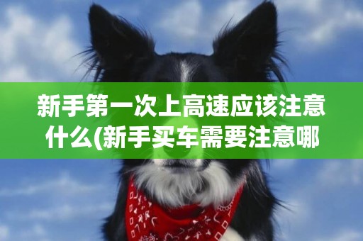 新手第一次上高速應該注意什么(新手買車需要注意哪些事項) 