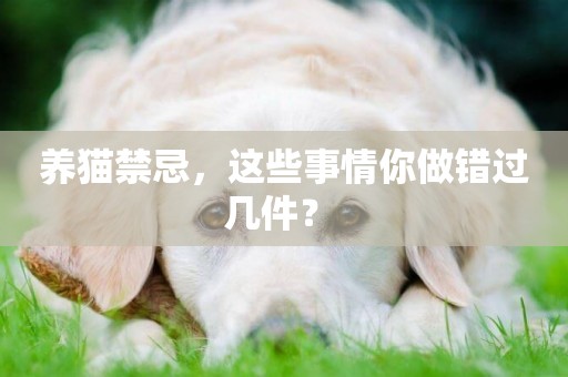 養貓禁忌，這些事情你做錯過幾件？ 