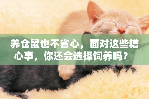養倉鼠也不省心，面對這些糟心事，你還會選擇飼養嗎？ 